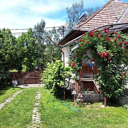 Casa De Vacanta Zsenik Vendeghaz Sovata Eksteriør bilde