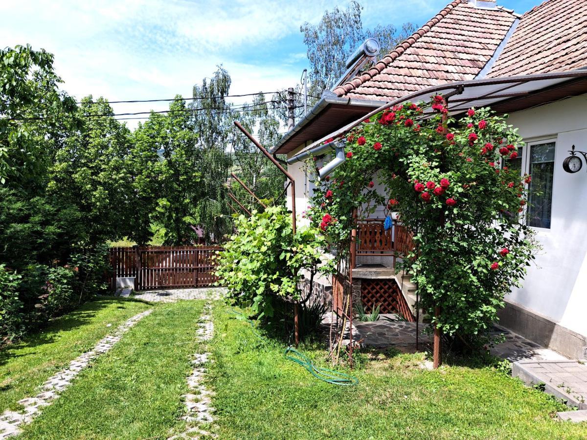 Casa De Vacanta Zsenik Vendeghaz Sovata Eksteriør bilde